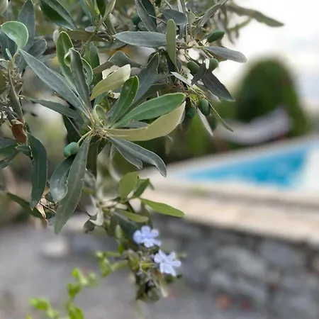 Poliana Σπίτι διακοπών *