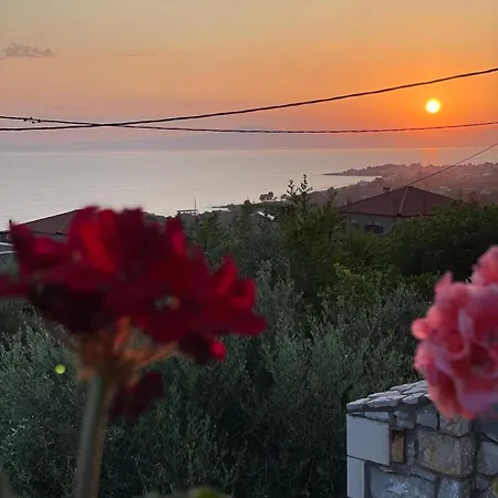 Poliana *