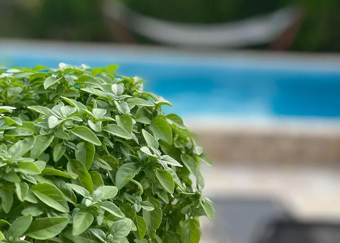 Feriehus Poliana Kotronion (West Mani)